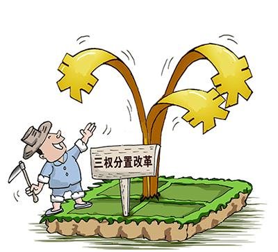 土地政策最新动态及其影响剖析