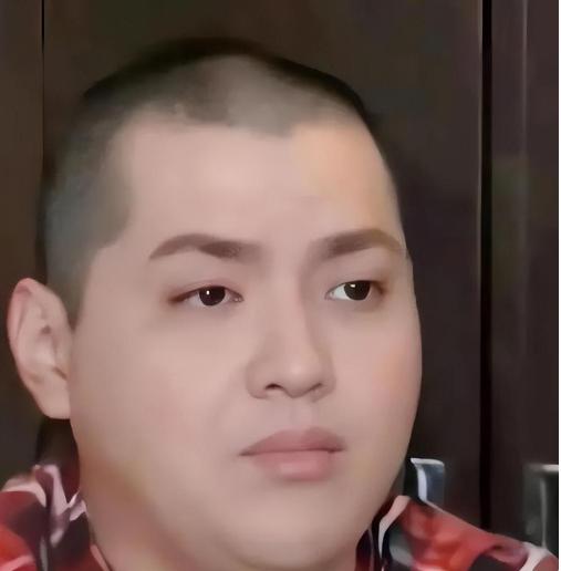 吴亦凡最新图片，探索偶像魅力与形象变迁的奇异之旅