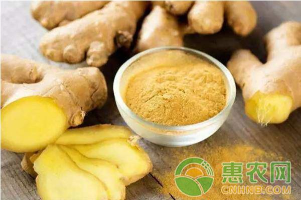 最新姜价动态剖析与市场走势展望，影响因素及未来趋势展望