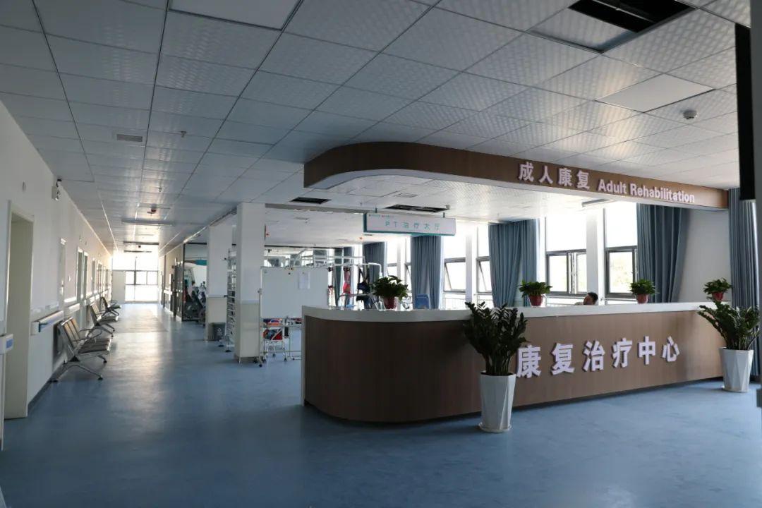 花卉莳植 第306页