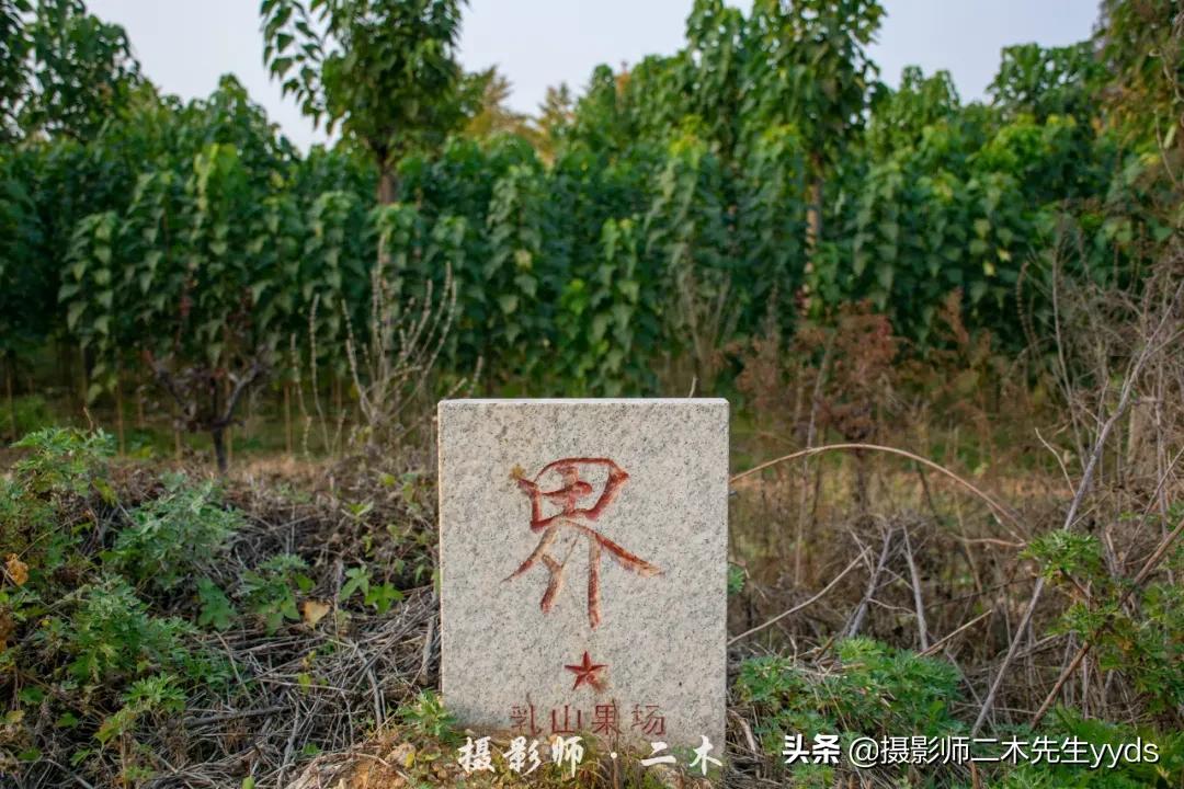 乳山寨镇最新新闻动态概览