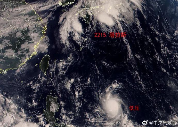 最新台风5号来袭，影响及应对战略
