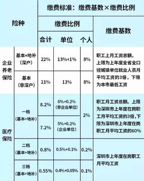深度剖析，最新社保比例动态及其影响与展望