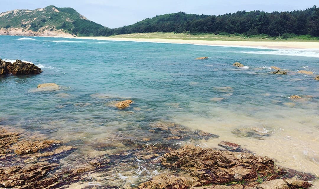惠东县口岸海龟湾自然；で钚绿炱卤ǜ
