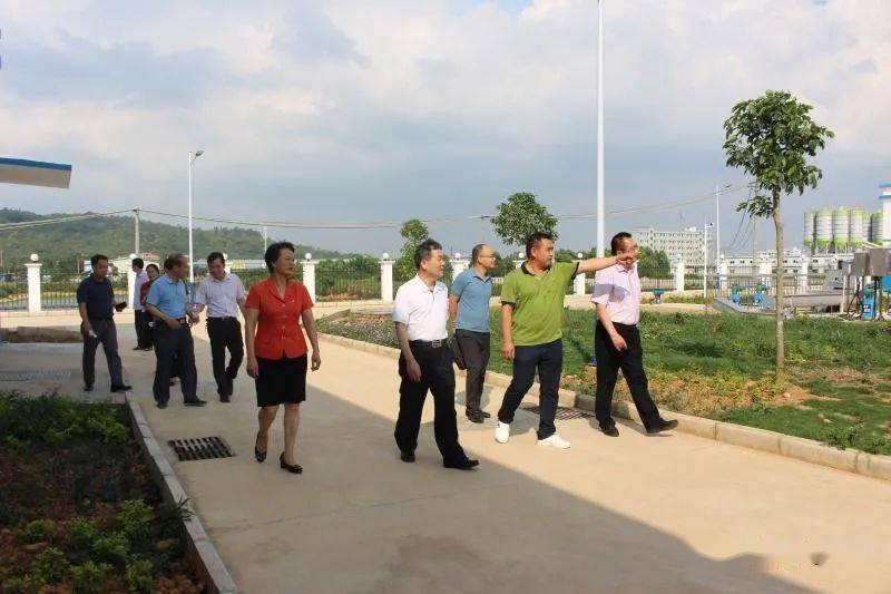 汕尾市企业视察队最新生长妄想揭秘，未来生长偏向与战略妄想
