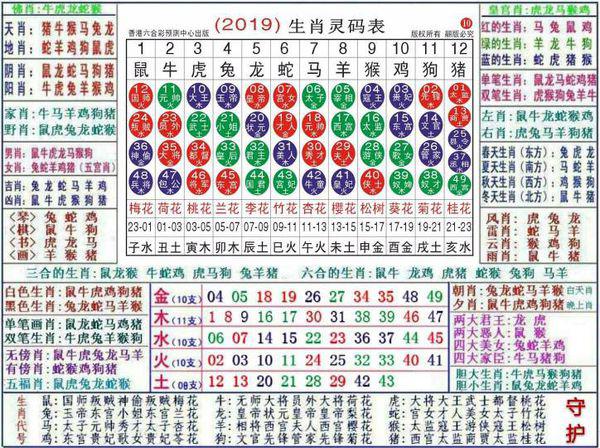 澳门正版资料大全资料生肖卡，实地数据验证战略