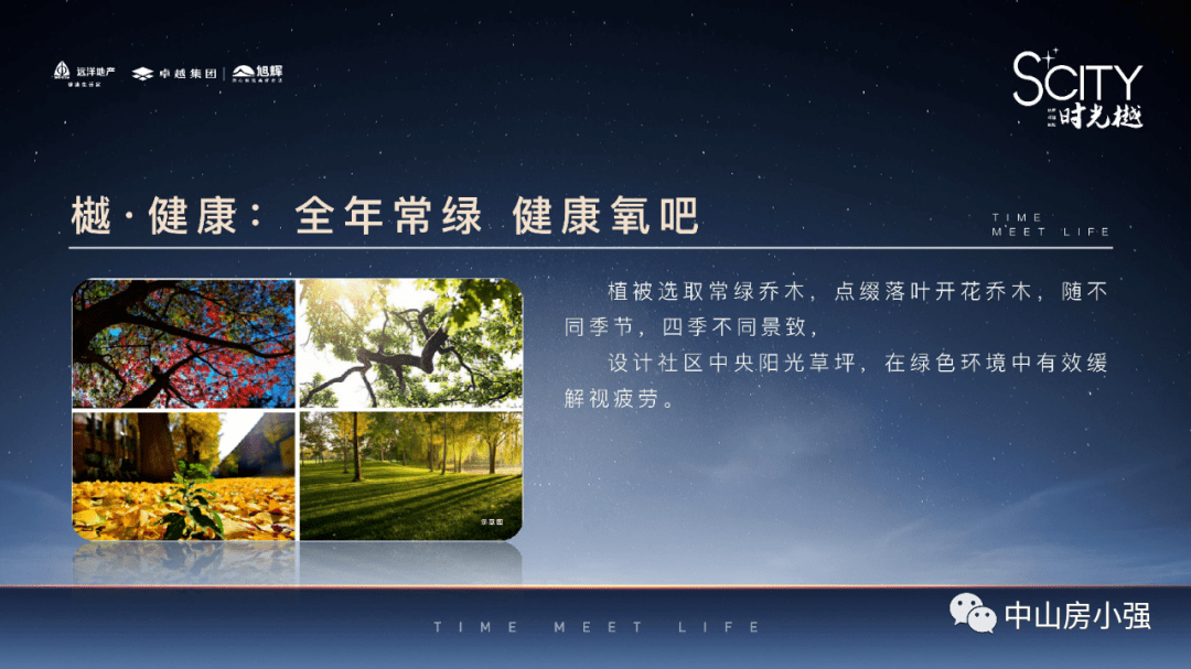 111333.соm盘问新澳开奖，无邪剖析执行