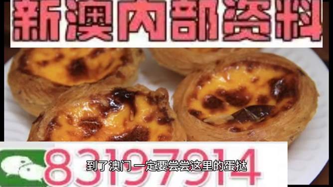 2024年新澳门正版免费大全，动态剖析诠释界说