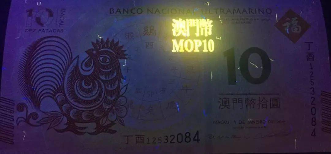新澳门特彩生肖走势图，立异妄想执行