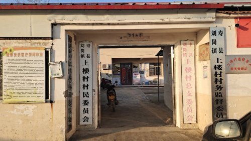 花卉莳植 第290页