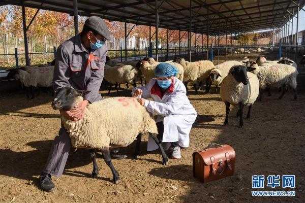 新澳今晚特马上9点30｜数据整合战略剖析
