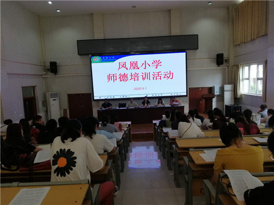 凤凰县小学最新招聘信息，周全解读招聘细节与招聘信息深度剖析