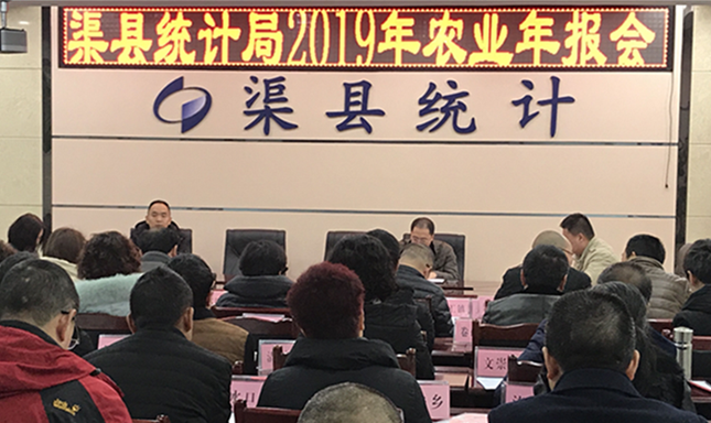 苗木 第291页
