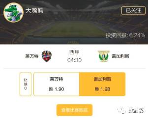 2025澳门今晚开特马开什么，实效设计计划