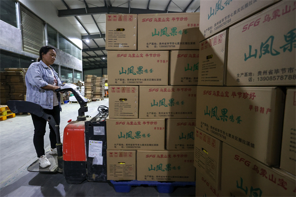 澳门一码一肖一特一中是果真的吗，标准化流程评估