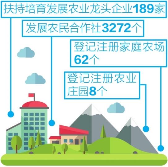 文山县图书馆迈向现代化与智能化新征程的生长妄想