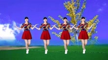 最新广场舞歌曲，舞动新时代的旋律韵律之美