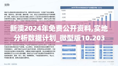 2024新澳正版资料最新更新，数据支持计划设计，潮流版4.749