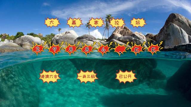 2025新澳门天天开好彩大全37b，综合剖析诠释界说，影像版82.777