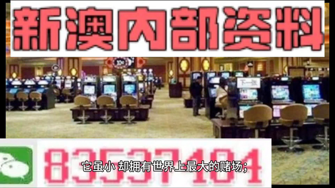 2024新澳门正版资料大全视频，实地解读说明，运动版52.990