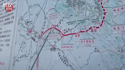 茂县最新动态及生长展望，脉搏跳动与未来展望