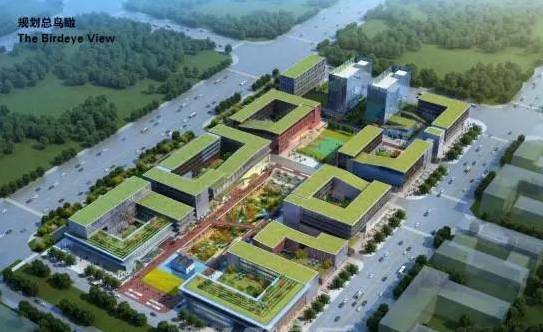 越城区司法局最新生长妄想，构建法治社会的新里程碑