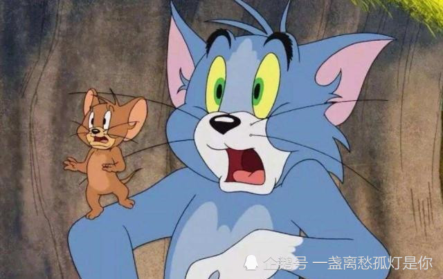 猫和老鼠最新篇章，永无止境的追逐与智斗游戏