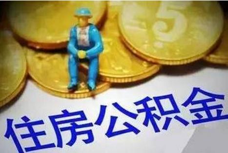 社保最新比例详解，深入相识与探讨