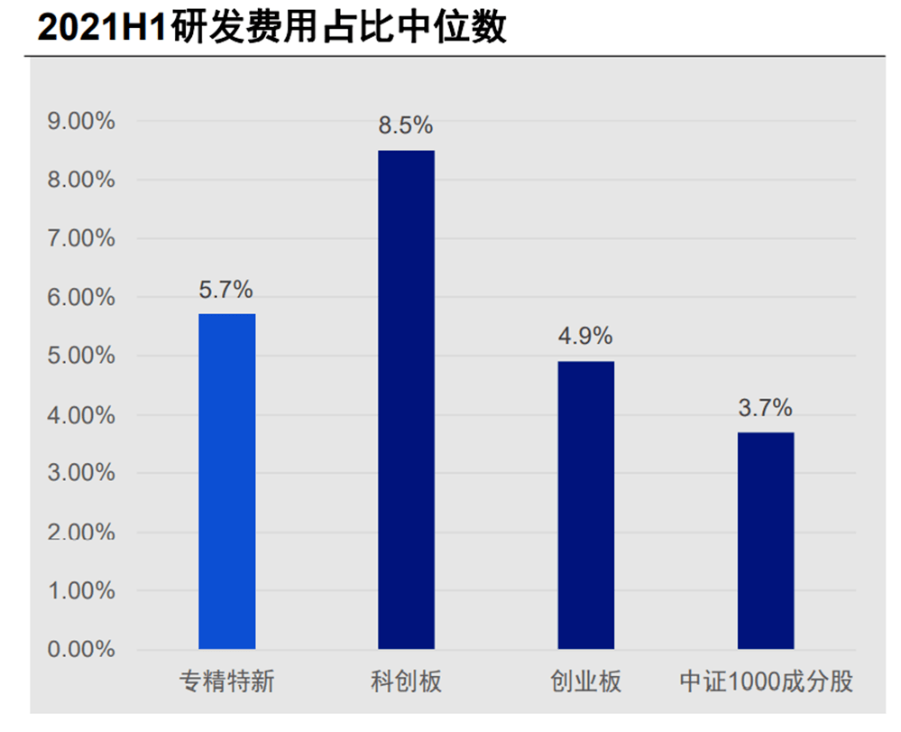 2025澳门特马今晚开奖,数据设计驱动战略
