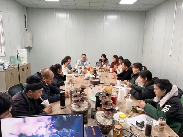 上海市人事局最新动态，都会人才生长新战略与调解