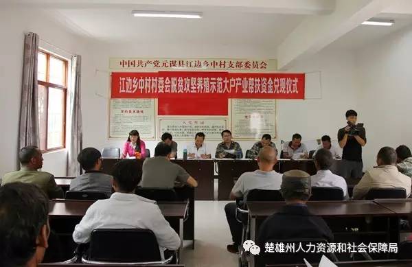 星海村委会最新招聘信息概览，职位空缺与申请指南