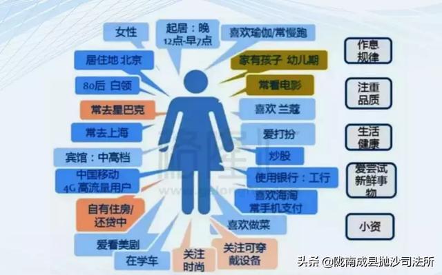 2025新奥正版资料免费提供,周全剖析数据执行