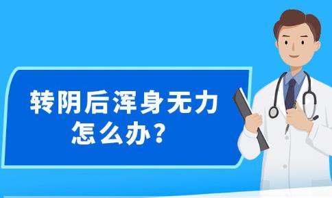 新澳精准资料免费提供濠江论坛,主要性要领剖析