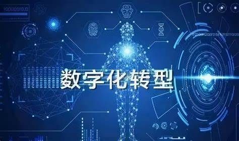 白小姐三肖三码必中生肖——深入数据战略设计_定制版6.22