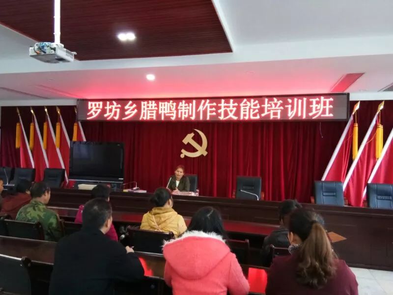 罗坊乡最新生长妄想，塑造墟落新面目，推动可一连生长历程