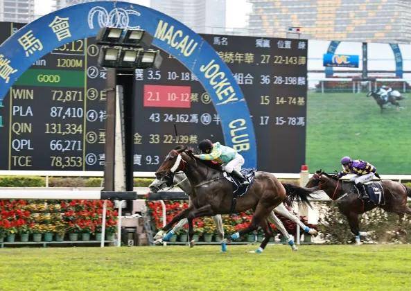 新澳门今晚特马号码推荐——实地验证战略_watchOS97.507