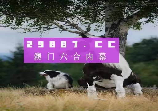2025年新澳门天天开奖免费盘问,性子解答诠释落实