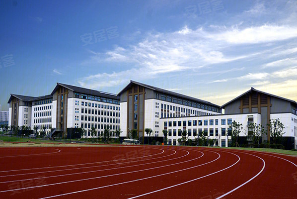 苗木 第225页