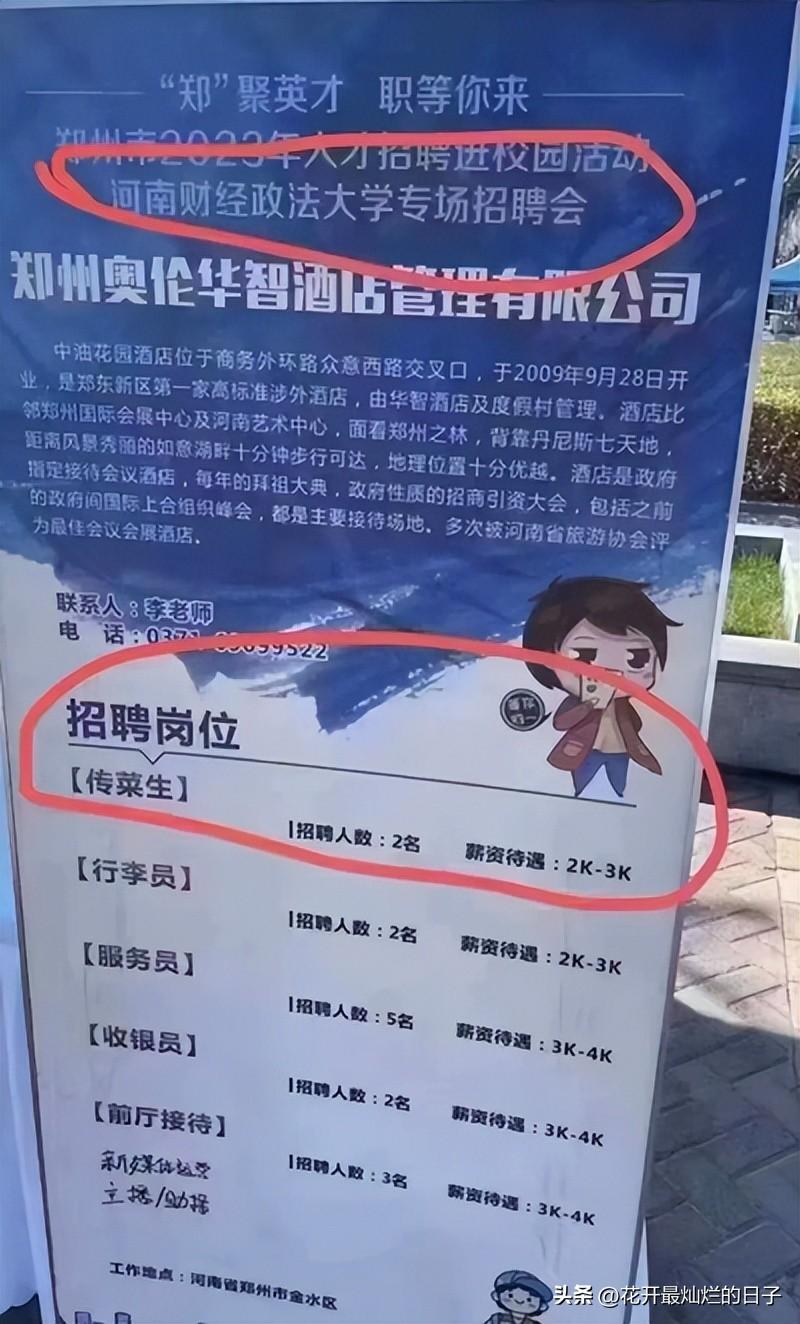 最新凉菜招聘启事，寻找餐饮新星，携手共筑鲜味未来