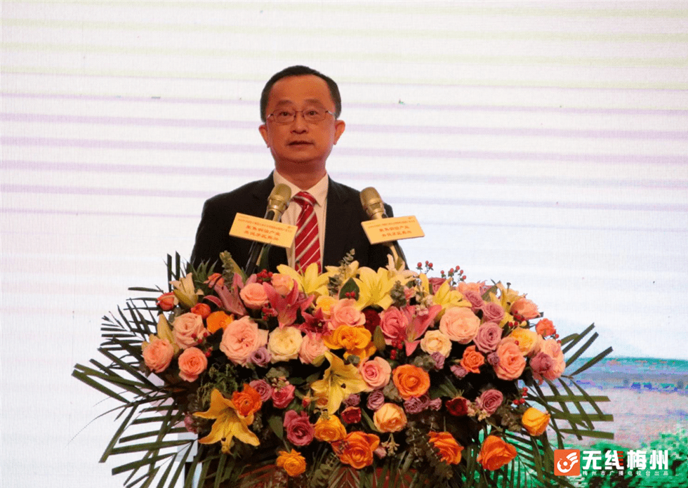 梅州市市经济委员会最新向导及其经济生长战略概览