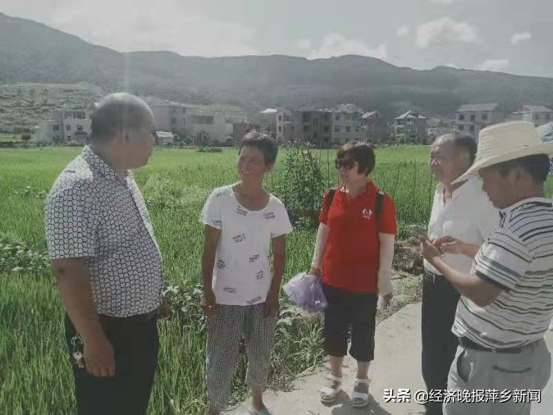 花卉莳植 第199页