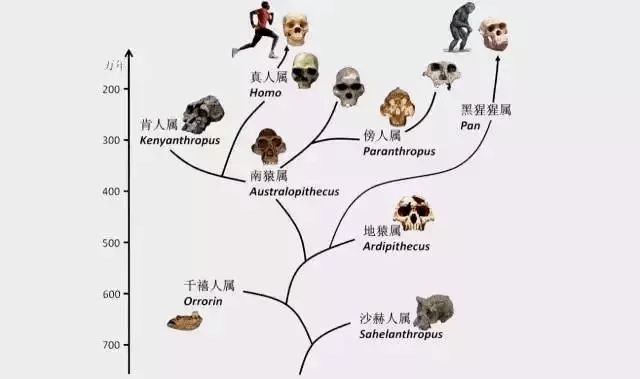 今天晚上澳门开什么,动态调解战略执行_冒险版53.84