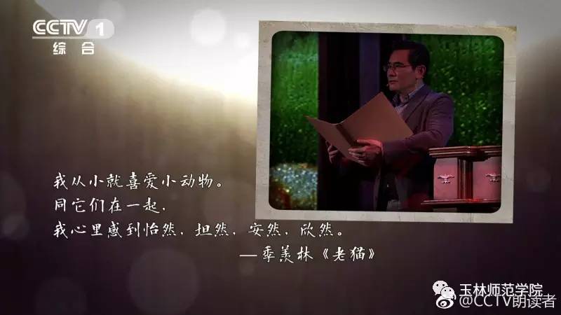 最新一期朗读者，文化与情绪的深度对话