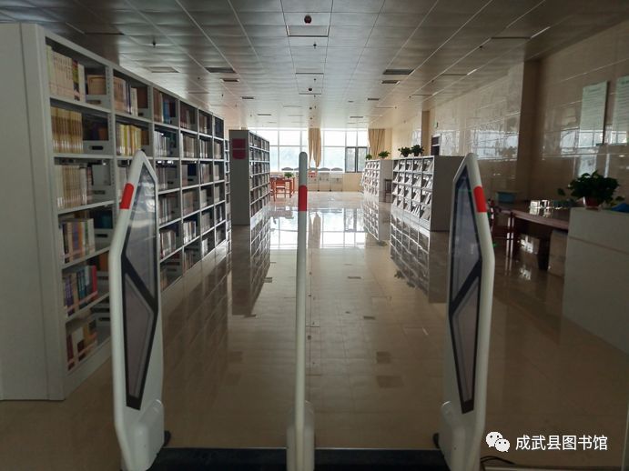 彰武县图书馆最新项目，推动文化昌盛与社区生长的强盛引擎