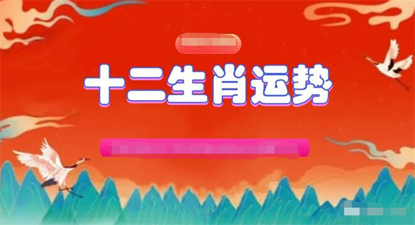 大三巴一肖一码中,实地验证剖析