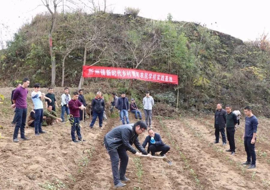 正安最新生长动态，探索前沿手艺，迈向未来新篇章