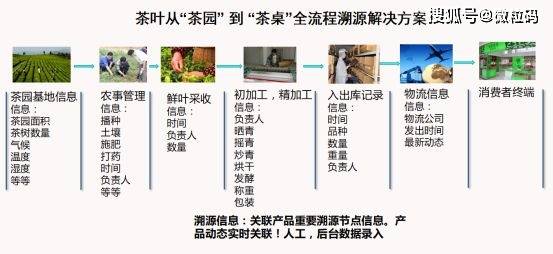 花卉莳植 第172页