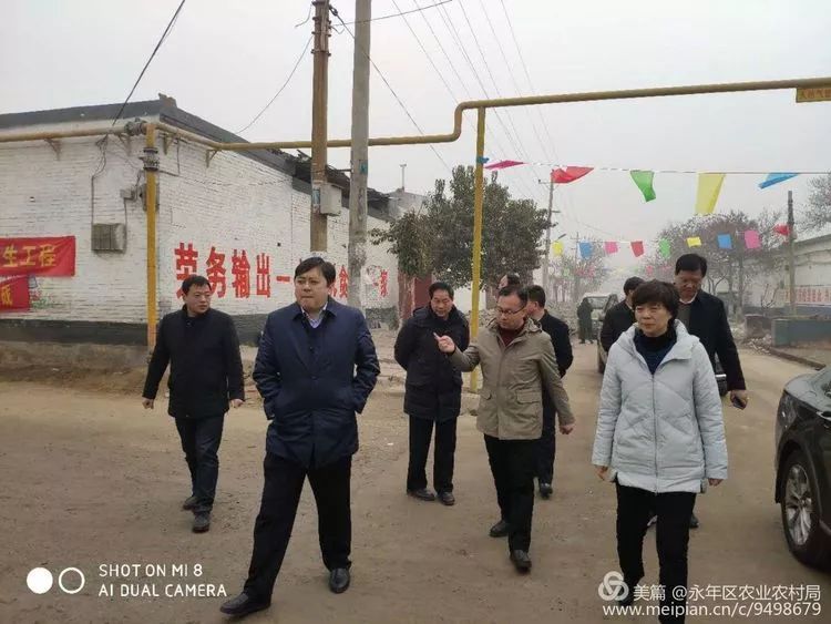 让胡路区农业农村局新向扶引领农业现代化，助力墟落振兴战略推进