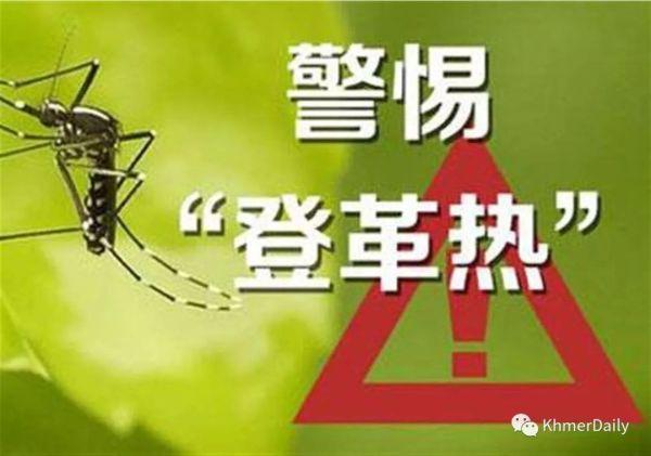 最新登革热全球关注与应对战略概览