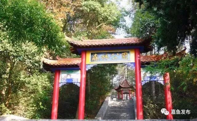 嘉鱼县文化局新任向导团队引领文化事业开启新篇章